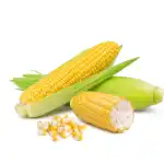 Sweet Corn